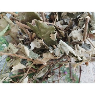 Combo 9 loại gai( xông, tắm)
