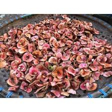 Quả Chay Thái Khô Nhà Làm, Chay Phơi Khô Tự Nhiên Dùng Kho Cá, Nấu Canh Chua