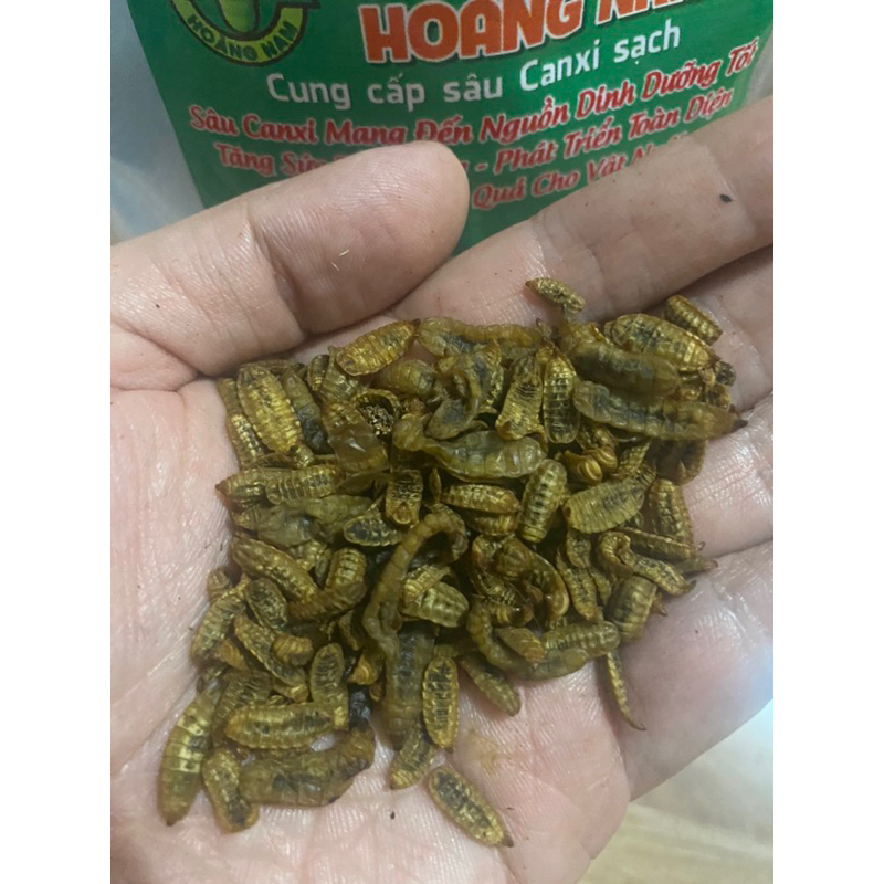 Sâu Canxi sấy khô 200g