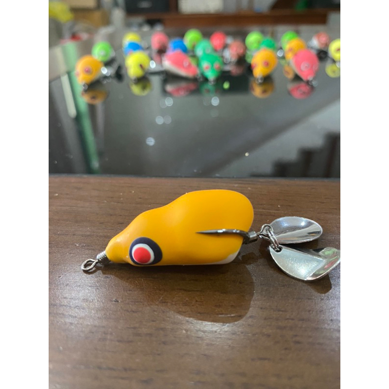 Nhái hơi F1, F2 lưỡi BKK ThaiLand