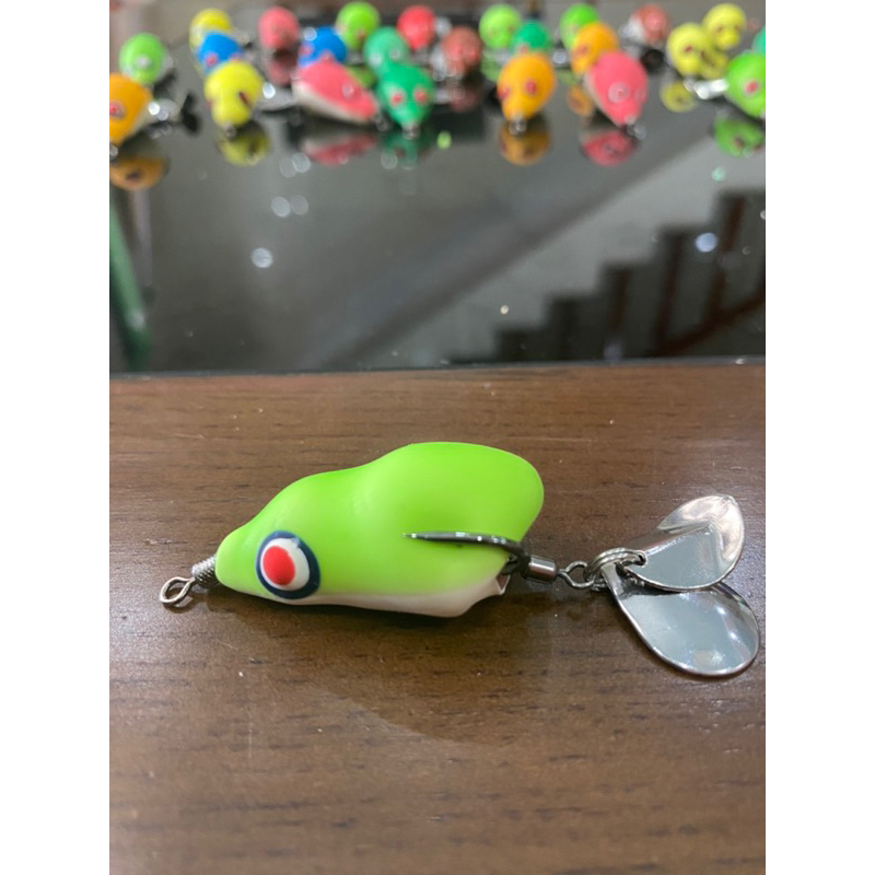 Nhái hơi F1, F2 lưỡi BKK ThaiLand