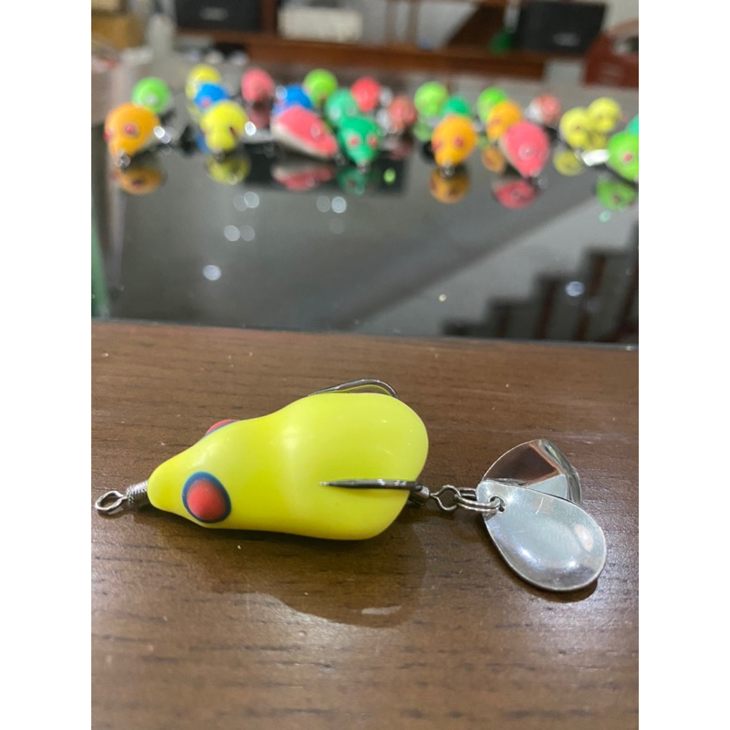 Nhái hơi F1, F2 lưỡi BKK ThaiLand