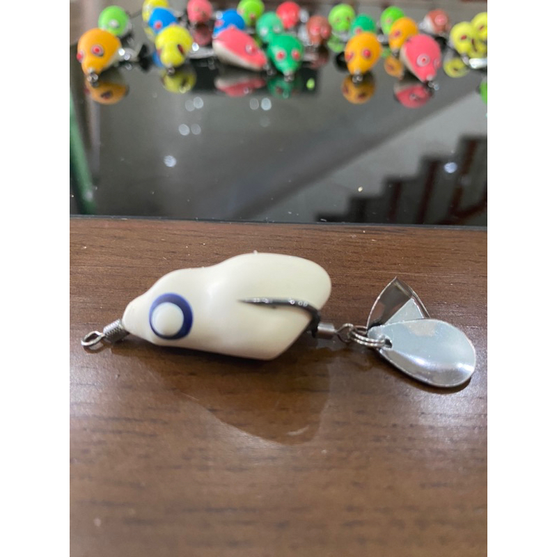 Nhái hơi F1, F2 lưỡi BKK ThaiLand