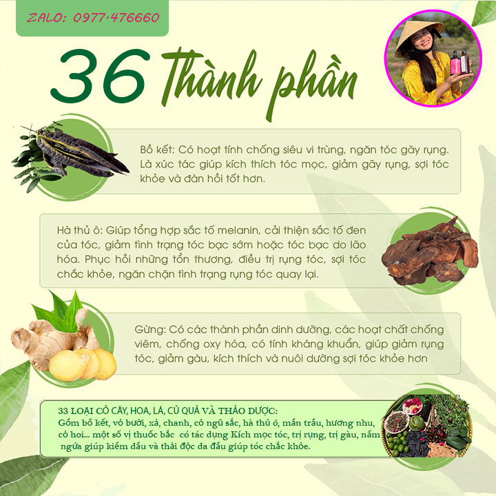 Dầu gội thảo dược HB . Sạch gàu, kích thích mọc tóc