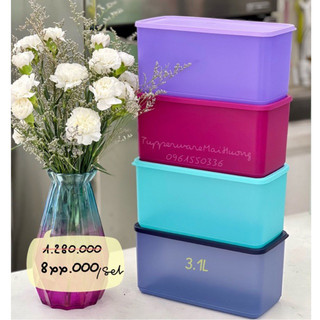 Bộ hộp bảo quản thực phẩm funtastic four 3.1l tupperware
