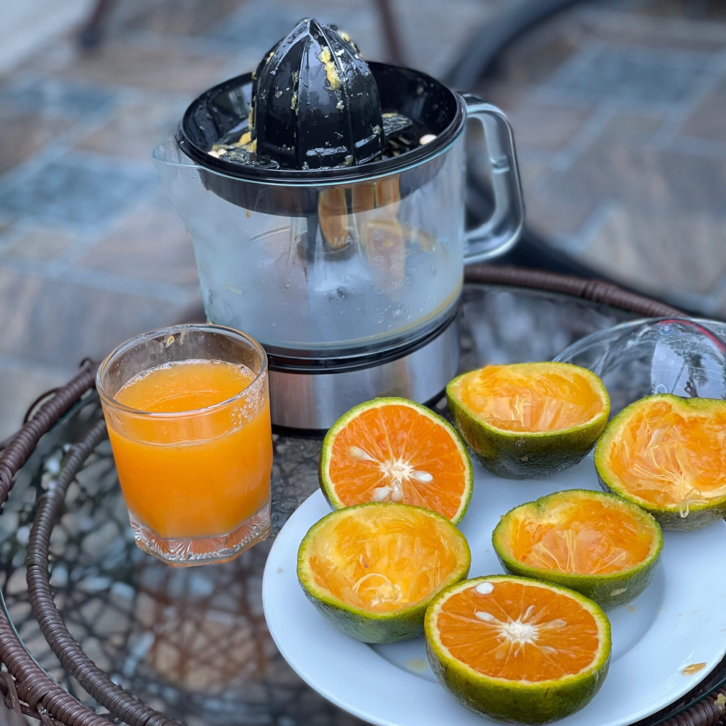 Máy vắt cam điện Cao Phong