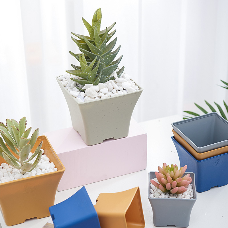 Chậu nhựa kèm đĩa lót vuông thon mini dày dặn, trồng sen đá, xương rồng và cây tiểu cảnh để Deco văn phòng ban công