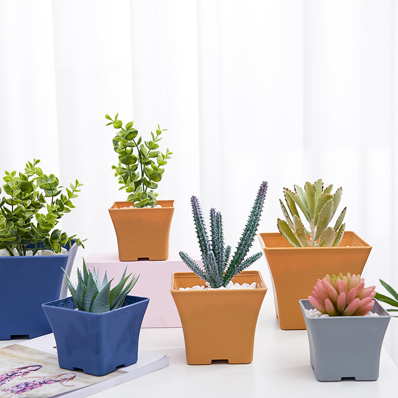 Chậu nhựa kèm đĩa lót vuông thon mini dày dặn, trồng sen đá, xương rồng và cây tiểu cảnh để Deco văn phòng ban công