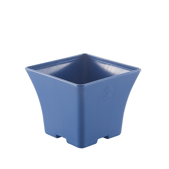 Chậu nhựa kèm đĩa lót vuông thon mini dày dặn, trồng sen đá, xương rồng và cây tiểu cảnh để Deco văn phòng ban công