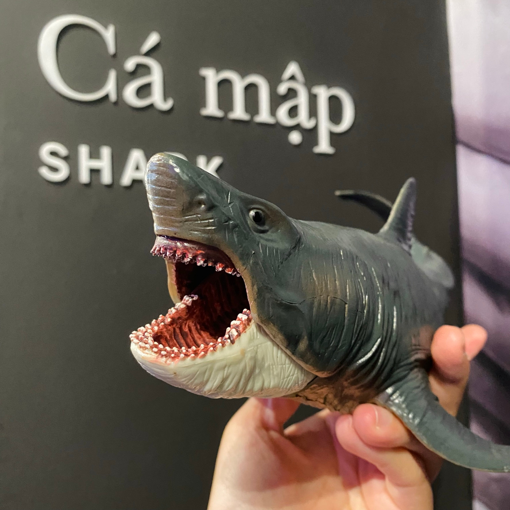 Mô hình cá mập Megalodon đồ chơi cho bé