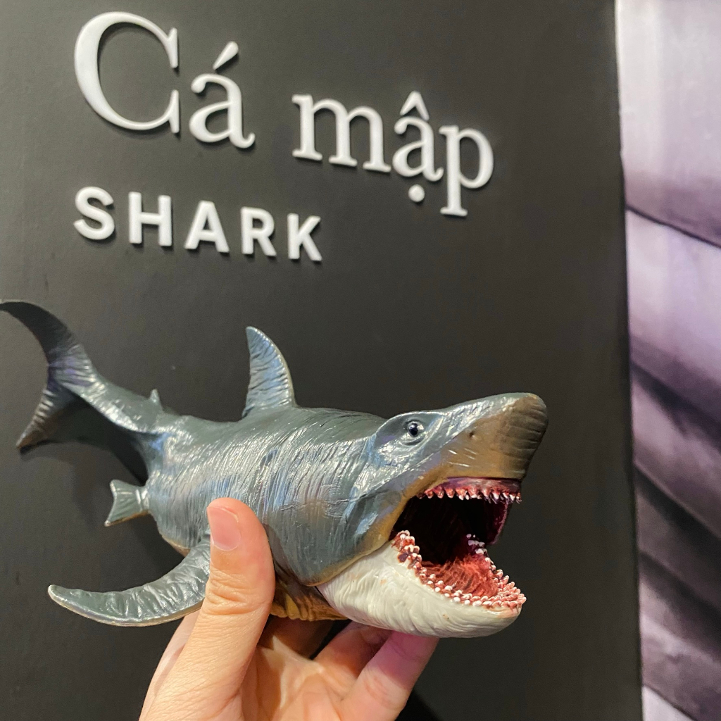 Mô hình cá mập Megalodon đồ chơi cho bé