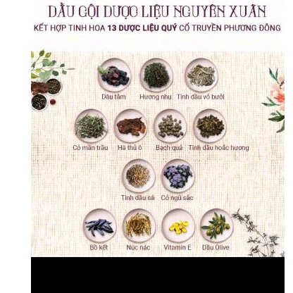 DẦU GỘI NGUYÊN XUÂN NÂU 350ML DÙNG CHO TÓC THƯỜNG