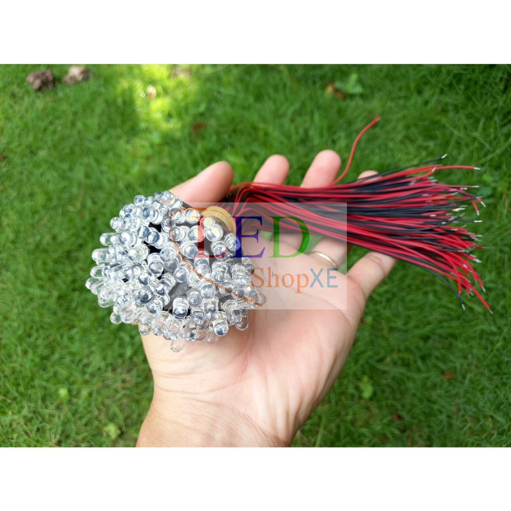 Led 5mm báo nguồn 5v - 12v Trắng - Xanh dương - Vàng