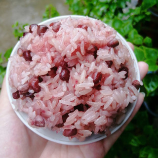 Gạo nếp nương Điện Biên [dẻo, thơm, rẻ] 1kg/2kg - Đặc sản Tây Bắc Tina