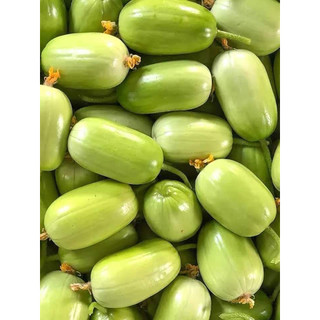 HẠT GIỐNG DƯA CHUỘT NGỌC NỮ NHẬP KHẨU