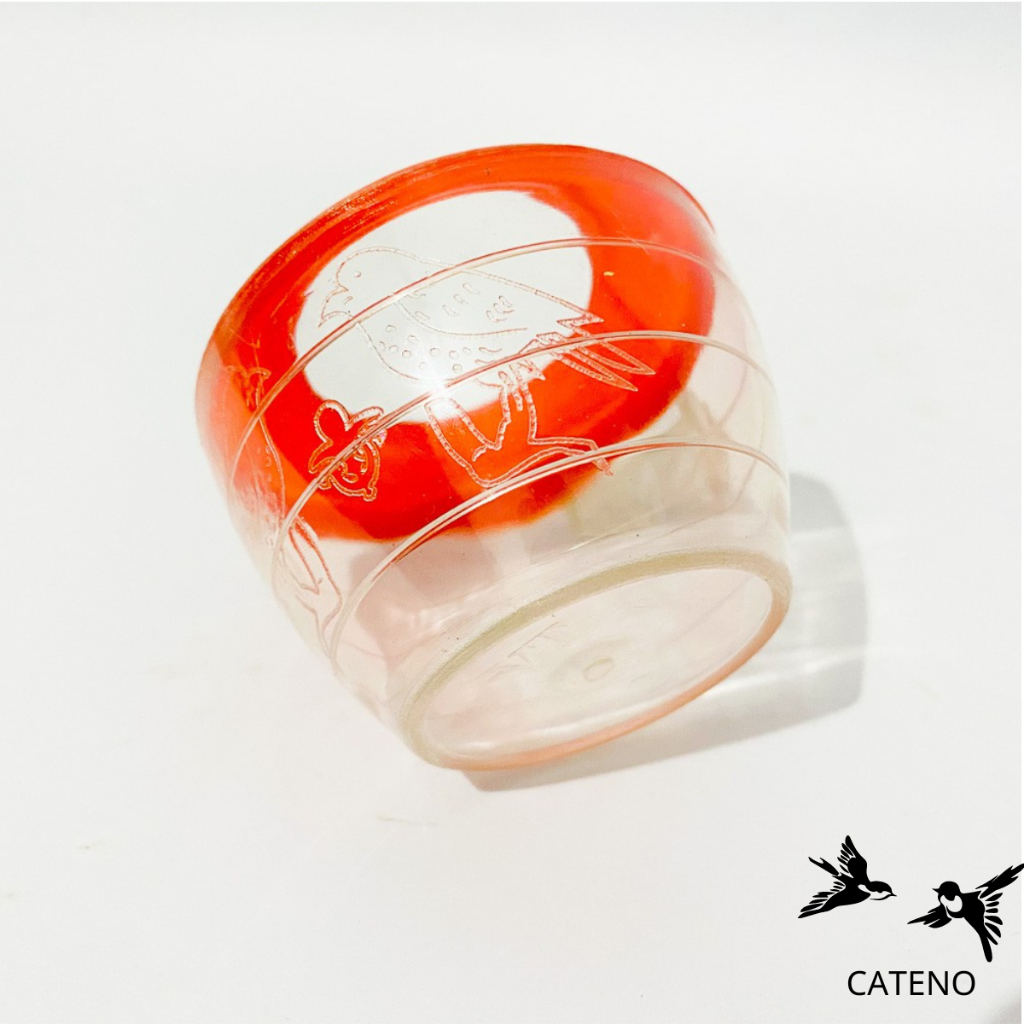 Cóng ăn đỏ chào mào - cóng ăn khuyên chất liệu nhựa mica giá rẻ họa tiết siêu đẹp