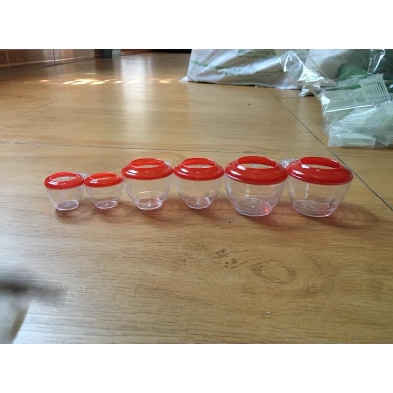 Cóng ăn đỏ chào mào - cóng ăn khuyên chất liệu nhựa mica giá rẻ họa tiết siêu đẹp