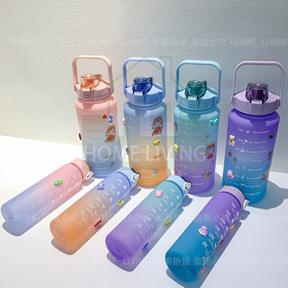 set 3 bình nước kèm sticker