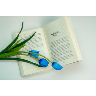 Sách - Lớn lên trên đảo vắng