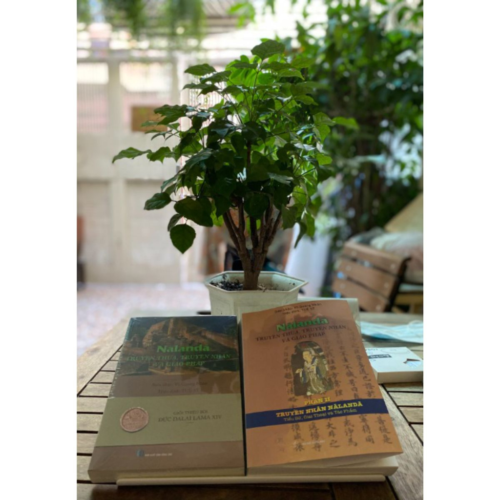 Sách - Nālandā: Truyền Thừa, Truyền Nhân Và Giáo Pháp - Phần II: TruyềnTthừa Nālandā