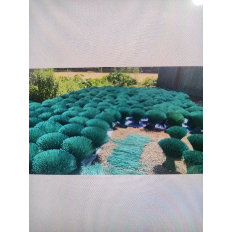 Que cắm hoa,mô hình làm nhà 1kg