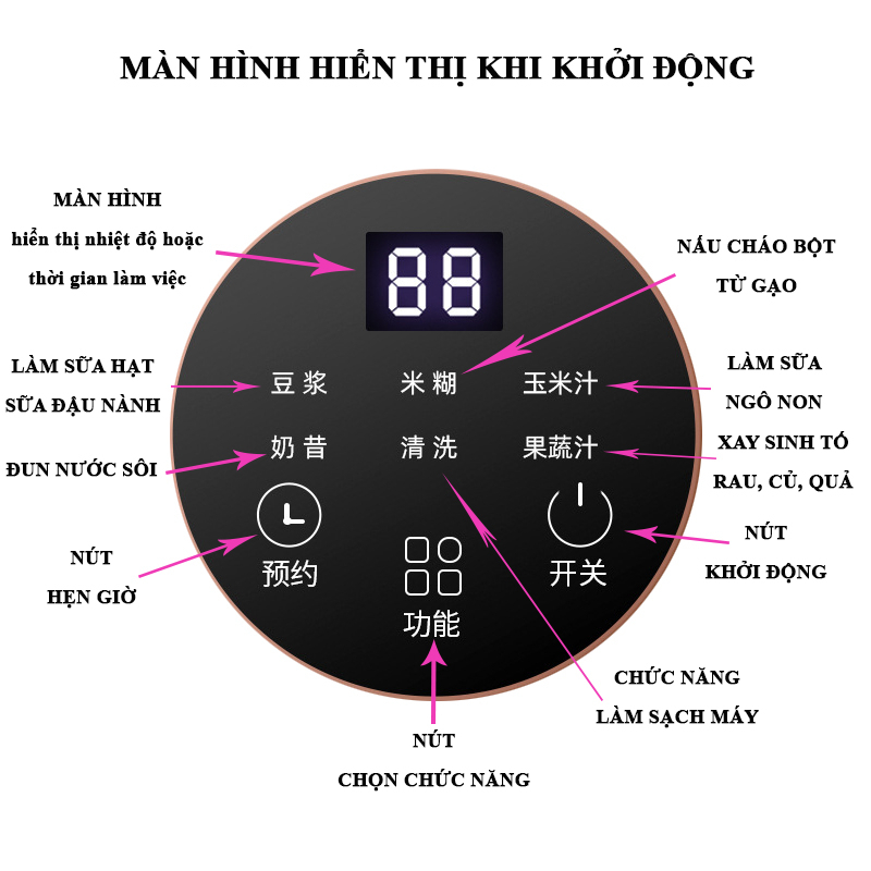 Máy Làm Sữa Hạt Đa Năng Zengon - Máy Xay Sữa Hạt Siêu Mịn - Cốc Thủy Tinh Chống Trào - Dễ Dàng Vệ Sinh BH 12 Tháng-ptkl