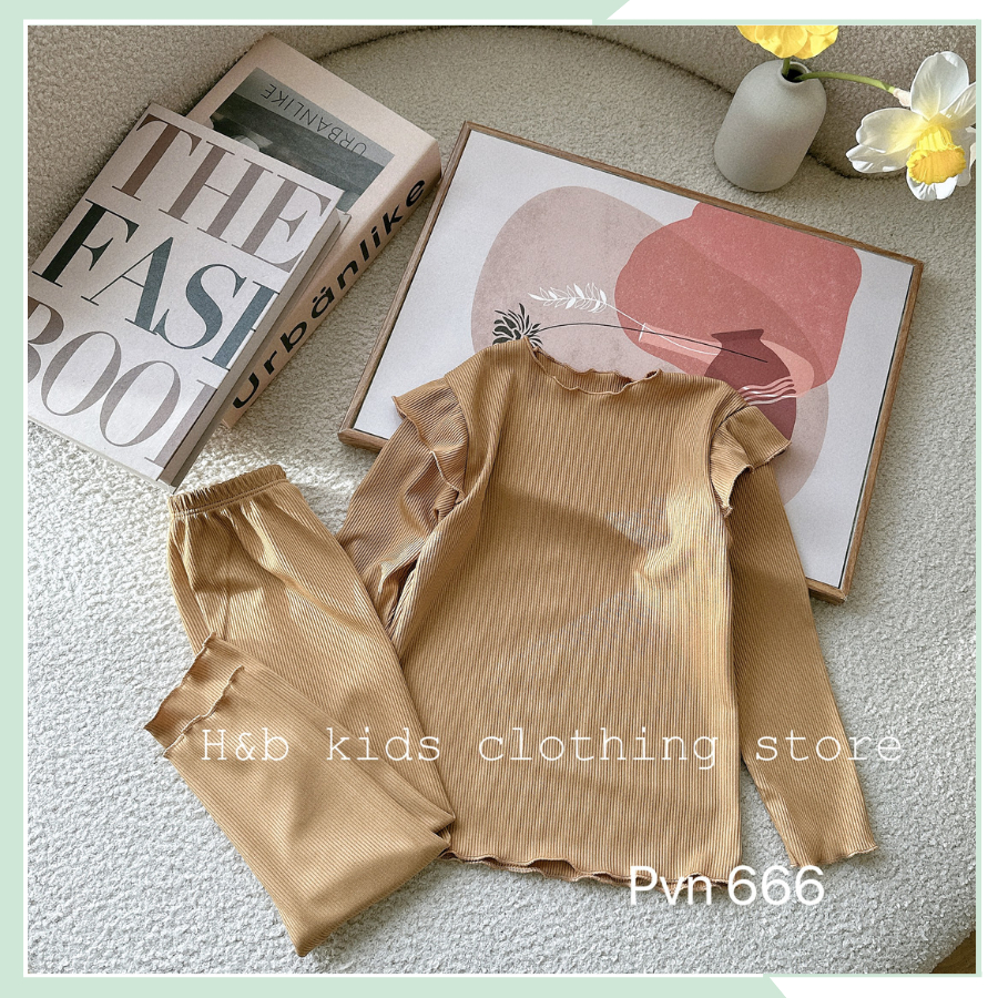 Quần áo cho bé, đồ bộ bé gái, bộ ngủ chất tăm co giãn vai bèo BBG98