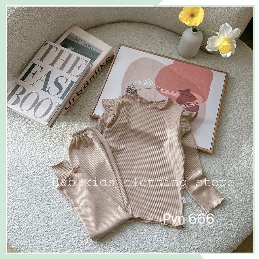 Quần áo cho bé, đồ bộ bé gái, bộ ngủ chất tăm co giãn vai bèo BBG98