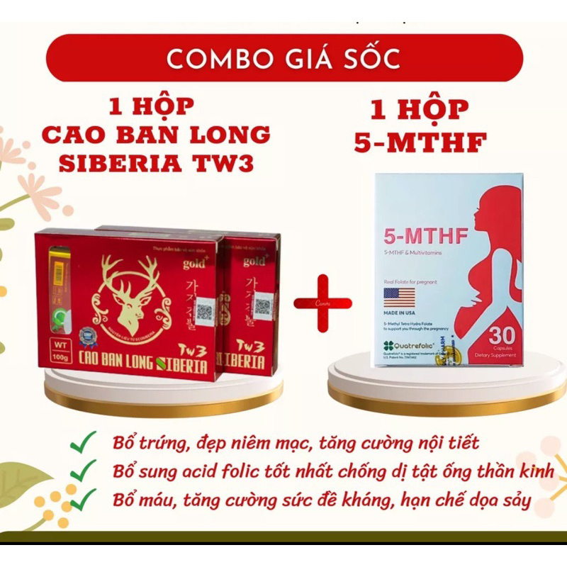 Cao ban long trung ương 3