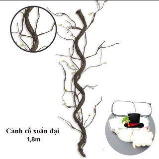  Thân cây giả gỗ rừng- Cành cổ xoắn đai 1,7 m decor cây giả cao cấp,thân mềm có lõi thép có thể uốn tạo kiểu tuỳ ý decor 