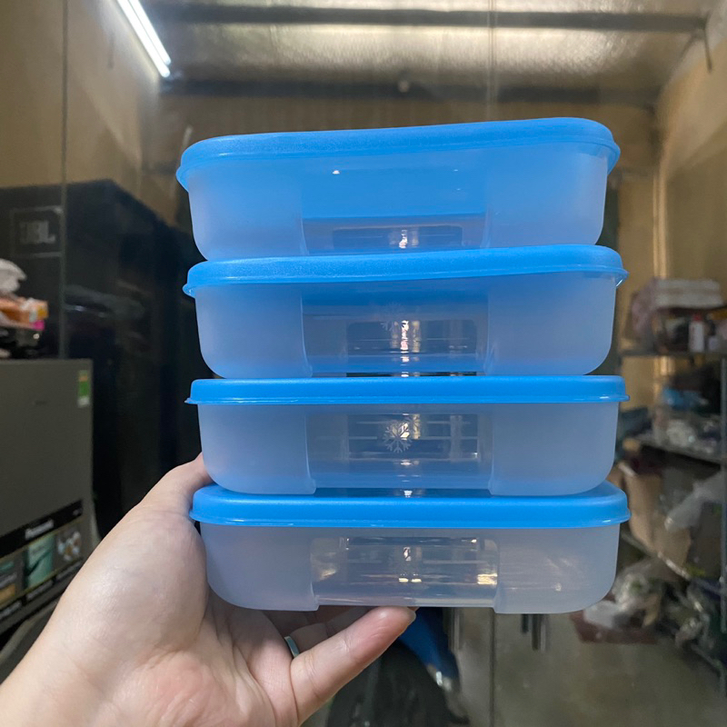 Hộp đông dẹt 250ml tupperware chính hãng