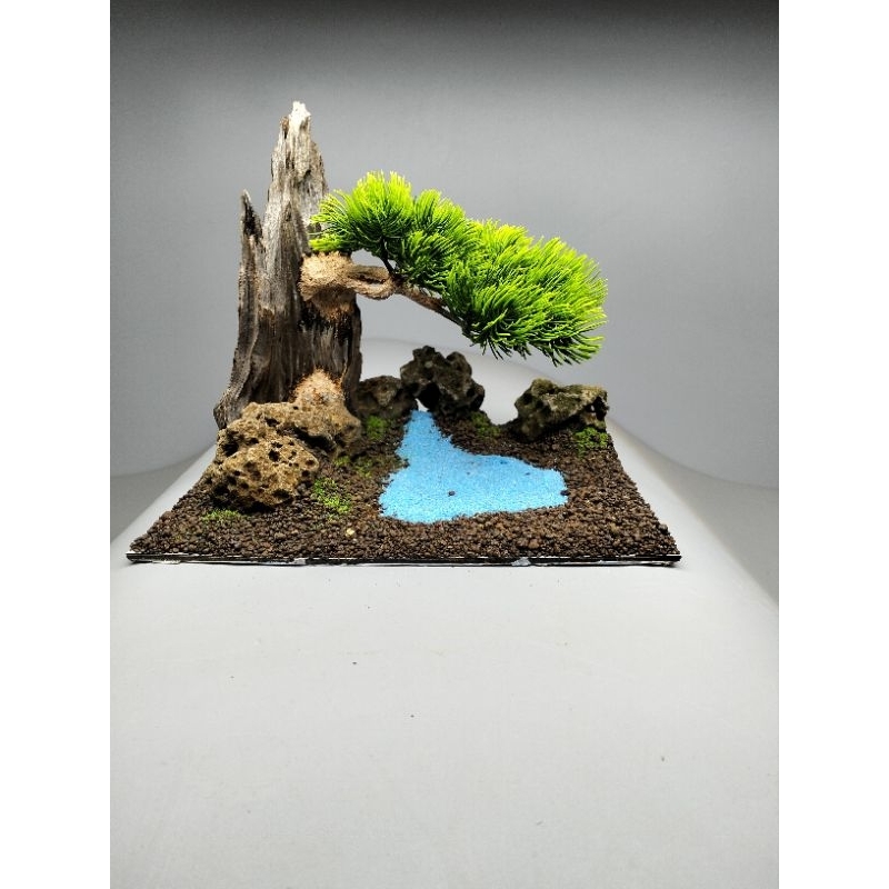 Gỗ lũa bonsai tán tùng kim, mẫu