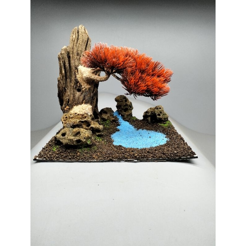 Gỗ lũa bonsai tán tùng kim, mẫu