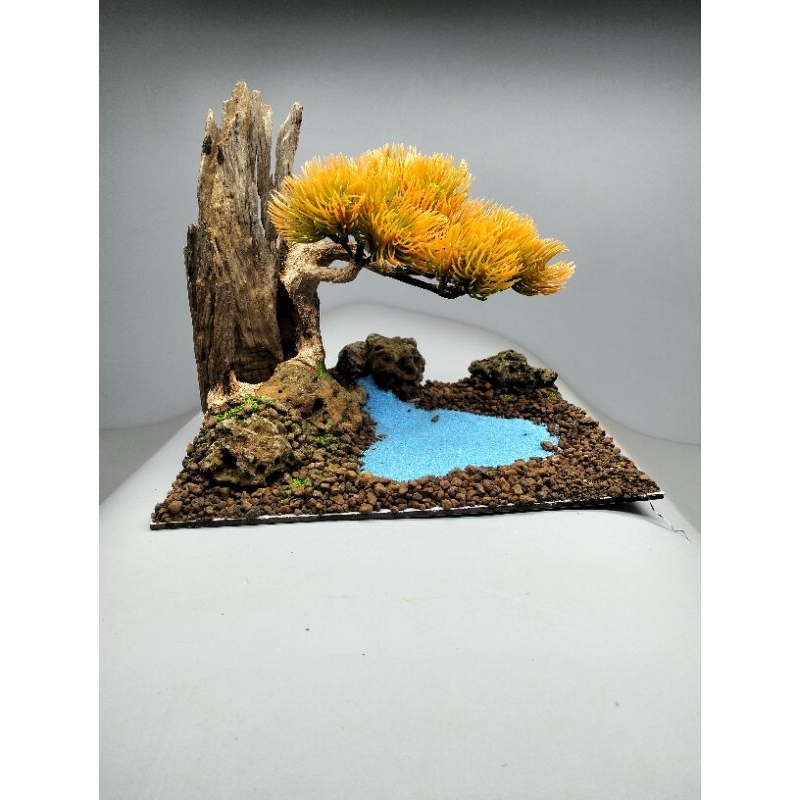 Gỗ lũa bonsai tán tùng kim, mẫu