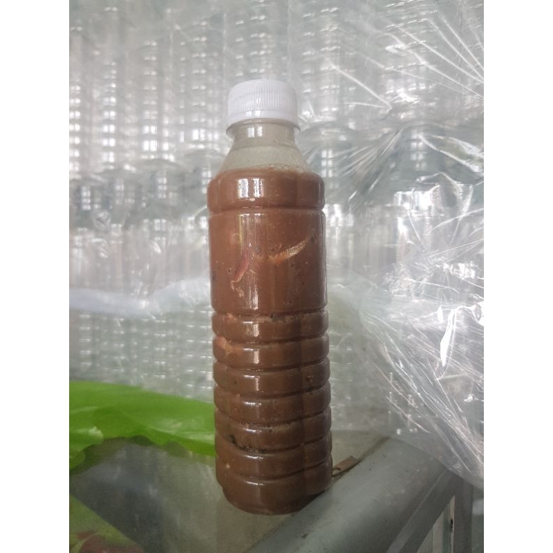 500gr Mắm nêm cá cơm nguyên chất Đặc sản BÌNH ĐỊNH