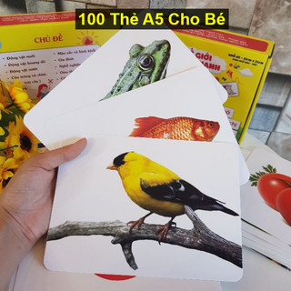 Flashcard - 100 Thẻ Học Thông Minh Song Ngữ Khổ Lớn A5 - Giúp Bé Nhận Biết Thế Giới Xung Quanh (Dành cho bé 0 - 5 tuổi)