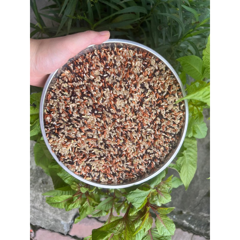 1kg Gạo Lứt Tam Sắc Dẻo Ngon