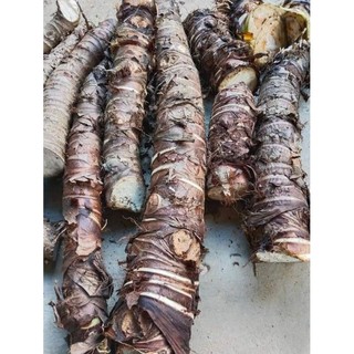 5kg bạc hà núi .đào ở núi c...ấm