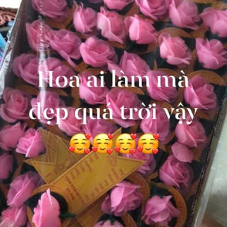 hoa vu lan-vu lan báo hiếu