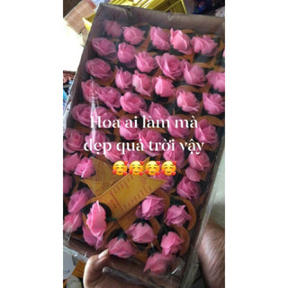 hoa vu lan-vu lan báo hiếu