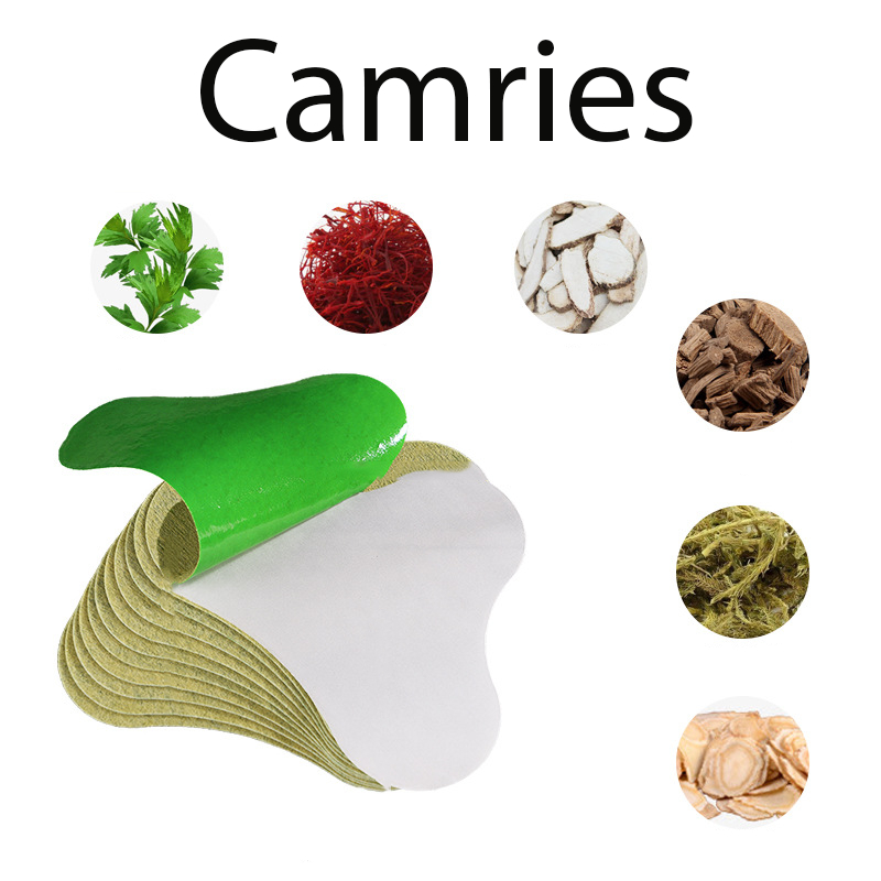 HỘP 12 MIẾNG Cao Dán Vai Gáy Cứu Ngải Nhức Mỏi Xương Lưng Đầu Gối Hiệu Quả-camriesf4t5