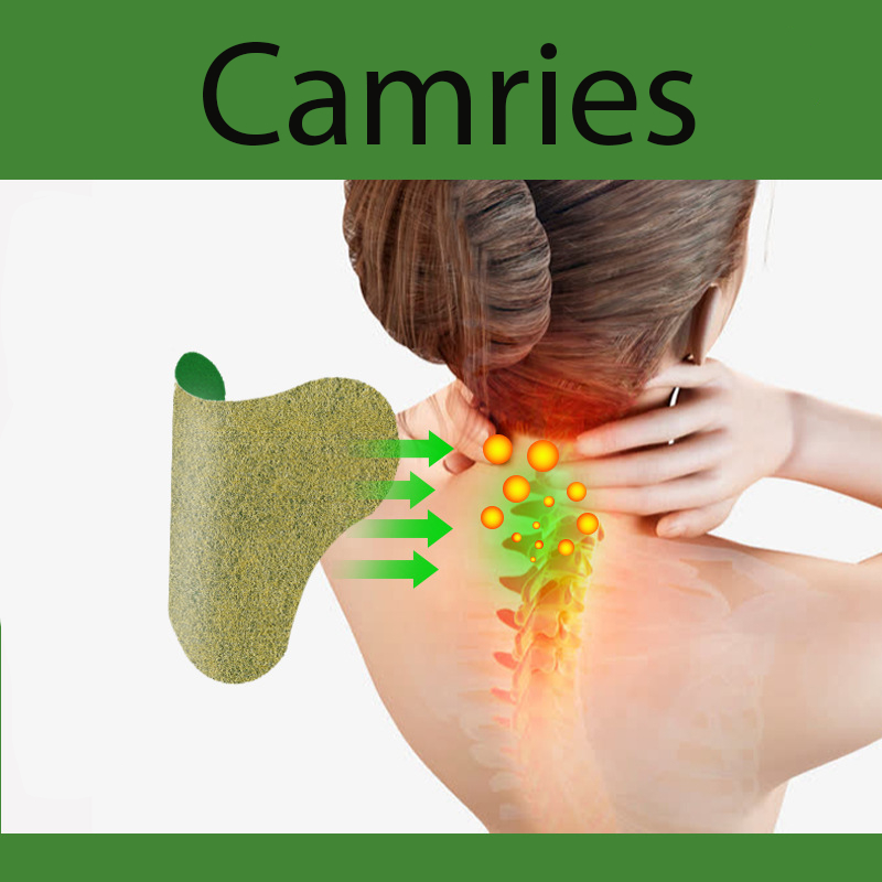 HỘP 12 MIẾNG Cao Dán Vai Gáy Cứu Ngải Nhức Mỏi Xương Lưng Đầu Gối Hiệu Quả-camriesf4t5