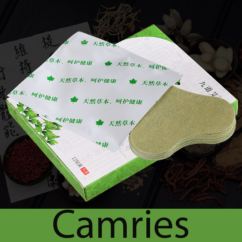 HỘP 12 MIẾNG Cao Dán Vai Gáy Cứu Ngải Nhức Mỏi Xương Lưng Đầu Gối Hiệu Quả-camriesf4t5