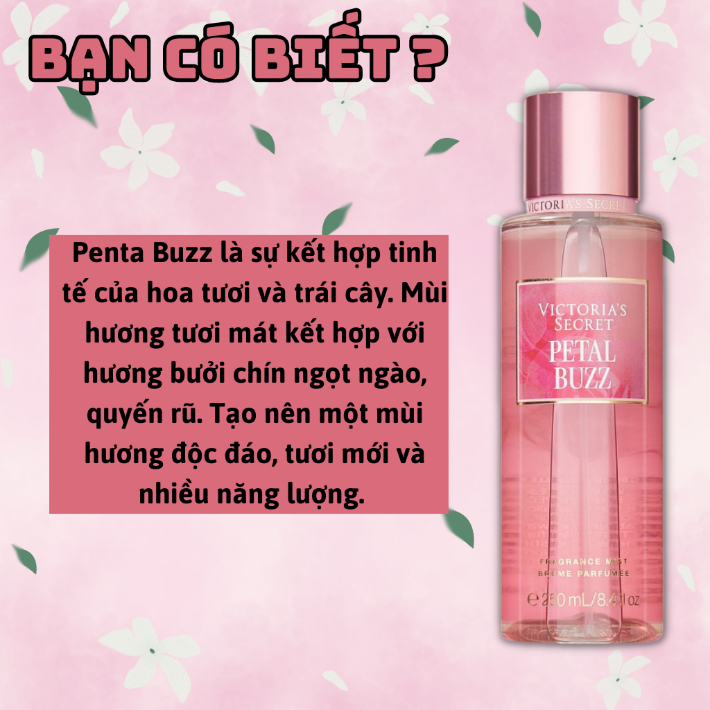 Body Mist Victoria Secret Chính Hãng Pental Buzz, Xịt Thơm Body Toàn Thân Hương Nước Hoa 250ml