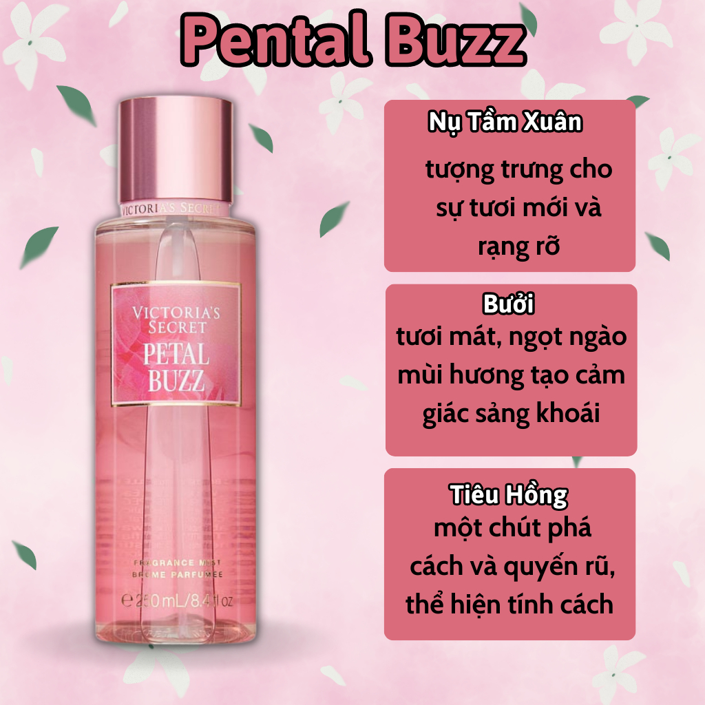 Body Mist Victoria Secret Chính Hãng Pental Buzz, Xịt Thơm Body Toàn Thân Hương Nước Hoa 250ml