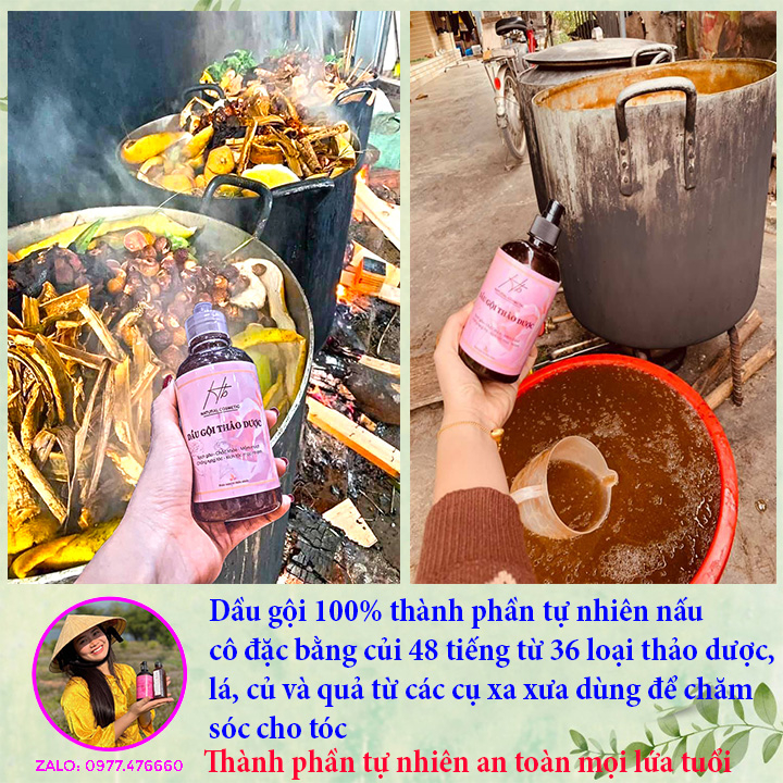 Dầu gội thảo dược HB . Sạch gàu, kích thích mọc tóc