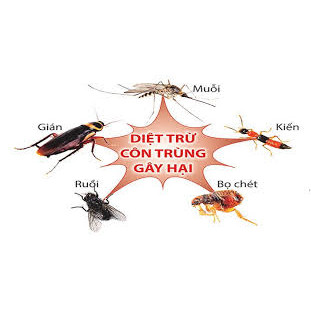 Bình xịt Muỗi Và Côn Trùng RAID 600ml