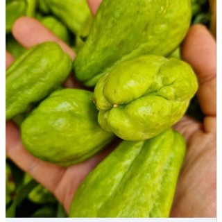 Quả su su non Mộc Châu (1kg)