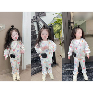BỘ NỈ HỌA TIẾT DÂU HOA DÀI TAY CHO BÉ