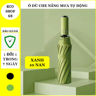 Ô Tự Động Gấp Gọn Che Mưa Che Nắng Chống Tia UV, Thiết Kế 10 Nan Chắc Chắn, Lớp Phủ Vinyl Dày Chống Tia Cực Tím